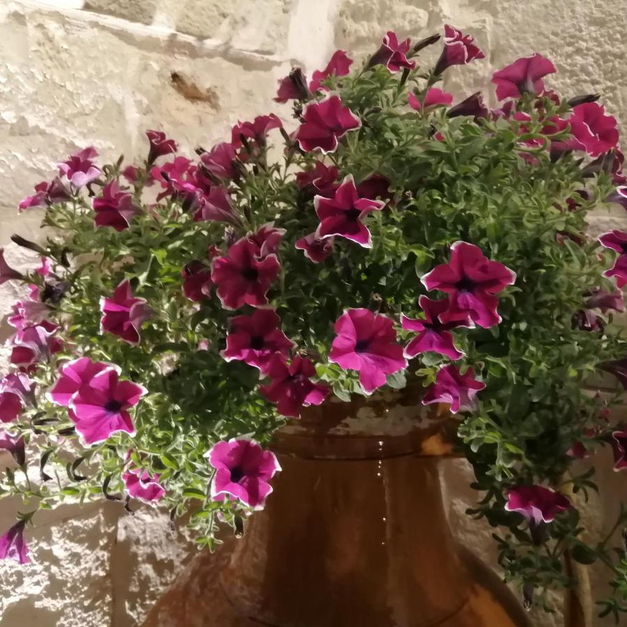 Annas Trulli Paradise-Alberobello Martina Franca Zewnętrze zdjęcie